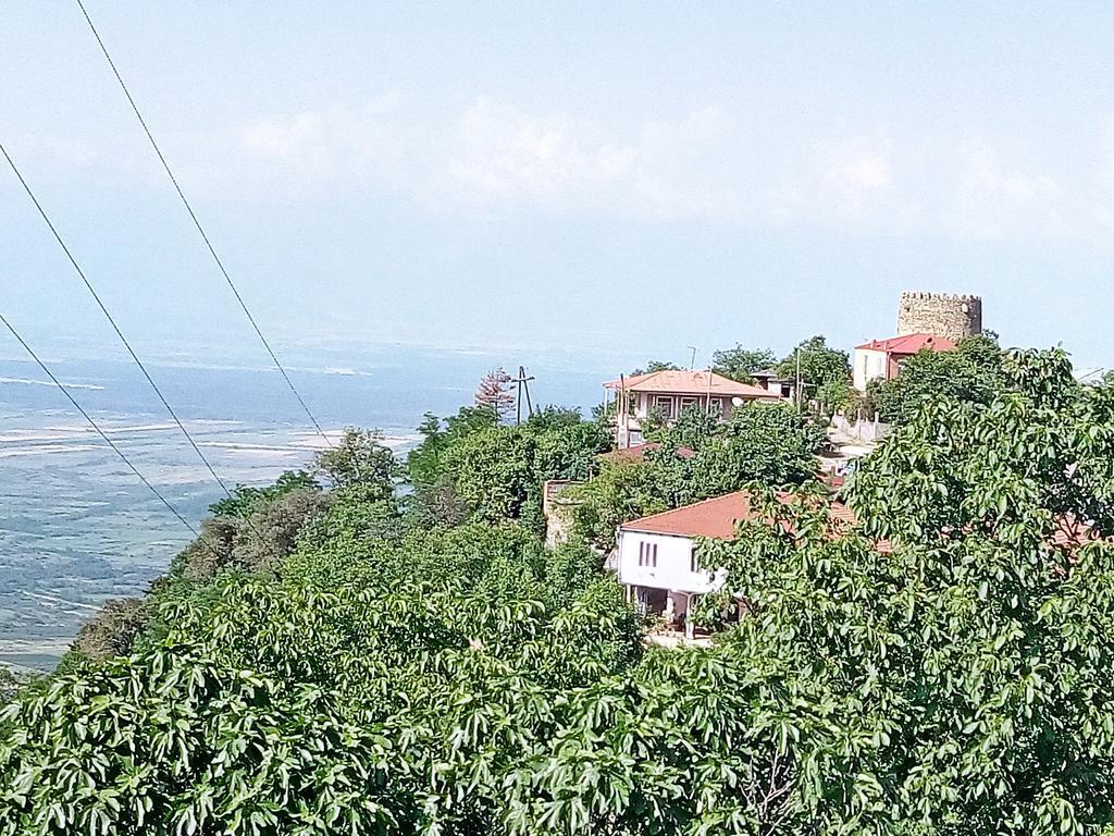 Temuka Hotel Sighnaghi Bilik gambar